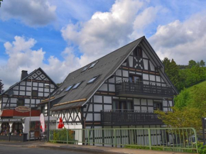 Exclusive loft apartment with balcony in Olsberg-Elpe